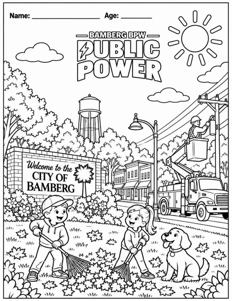 Bamberg BPW's Public Power Coloring Contest Page