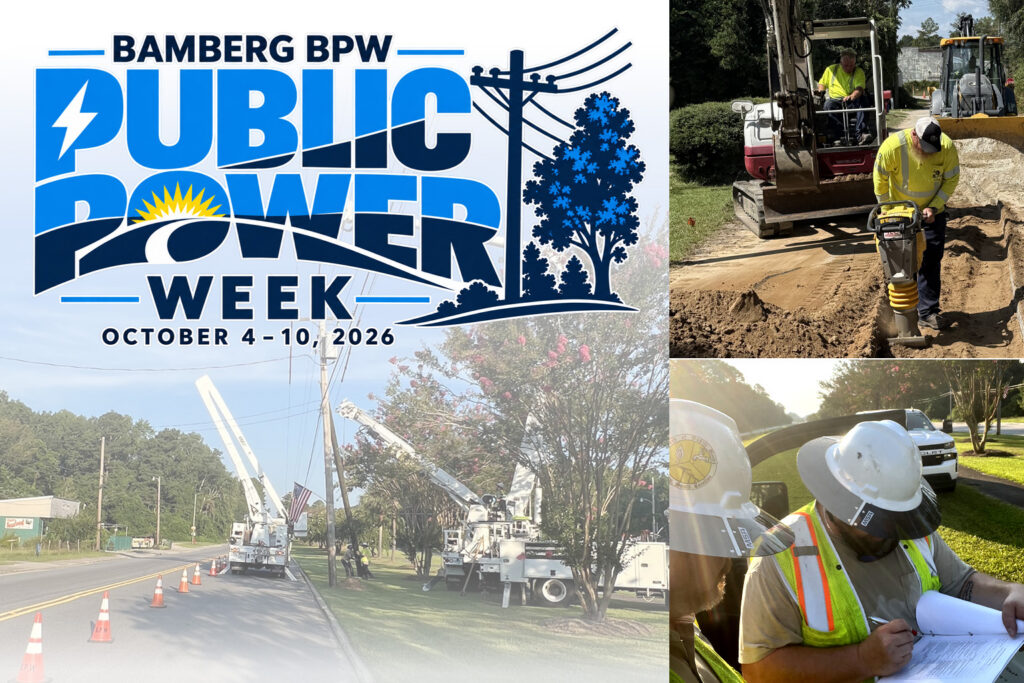 Join Bamberg BPW for Public Power Week 2026